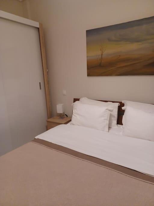 Irida Equanimity And Cozy Apartment